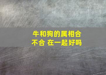 牛和狗的属相合不合 在一起好吗